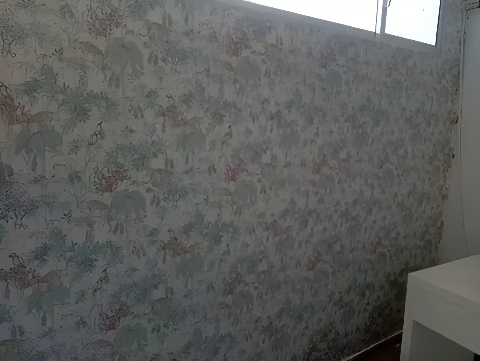 Los Pintores Fuenlabrada colocando papel pintado decorativo en pared completa de habitación